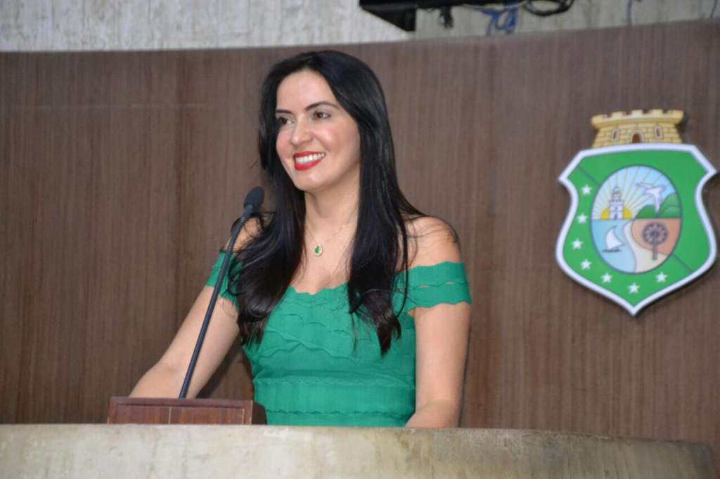 Deputada quer criar postos avançados em Delegacias para mulheres vítimas de violência