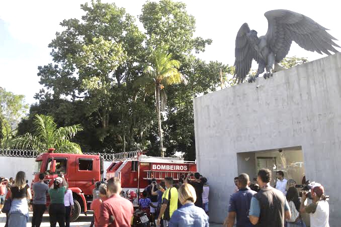 Tragédia no Centro de Treinamento do Flamengo, o Ninho do Urubu, deixa dez mortos