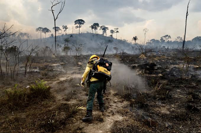 Brigadistas são presos após incendiar propositalmente florestas para receber doações