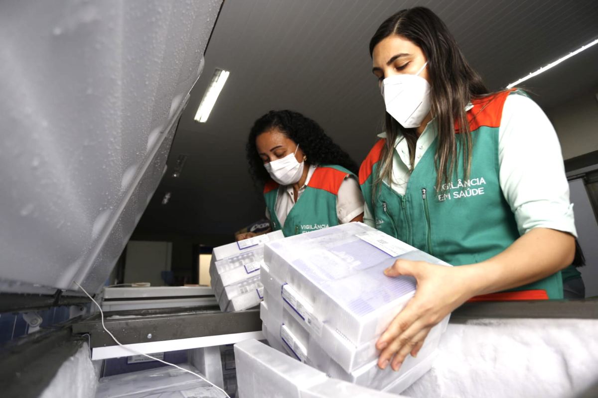 Ceara recebe lote com mais 231 mil doses pfizer; Estado já recebeu mais de 10 milhões de doses