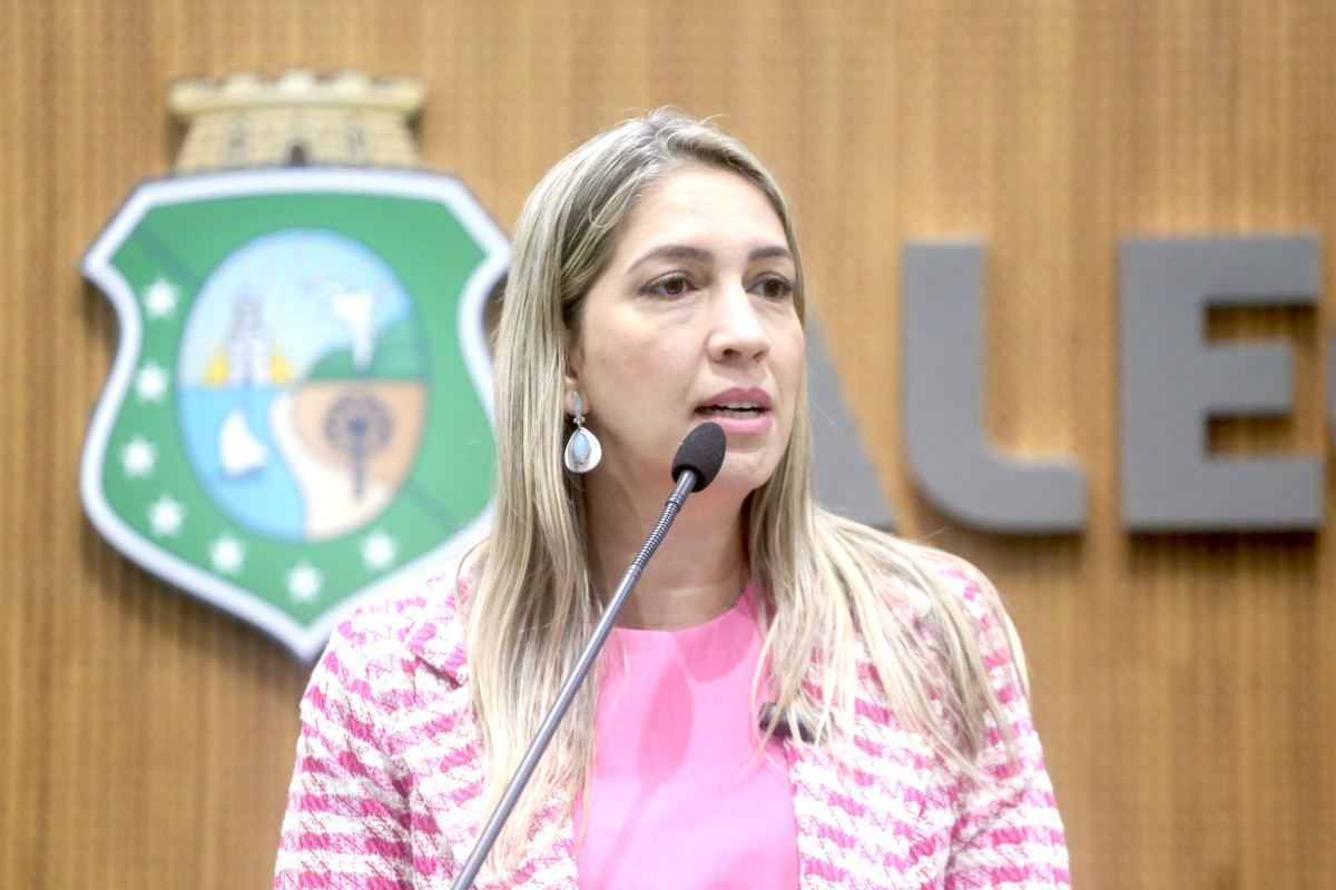 Empresa acusa deputada estadual de incentivar ocupação a loteamento privado